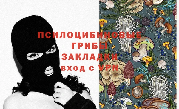 мяу мяу мука Алзамай