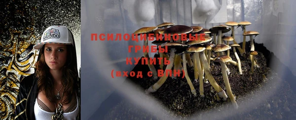 мескалин Абинск