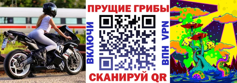 shop официальный сайт  Судогда  Псилоцибиновые грибы ЛСД 